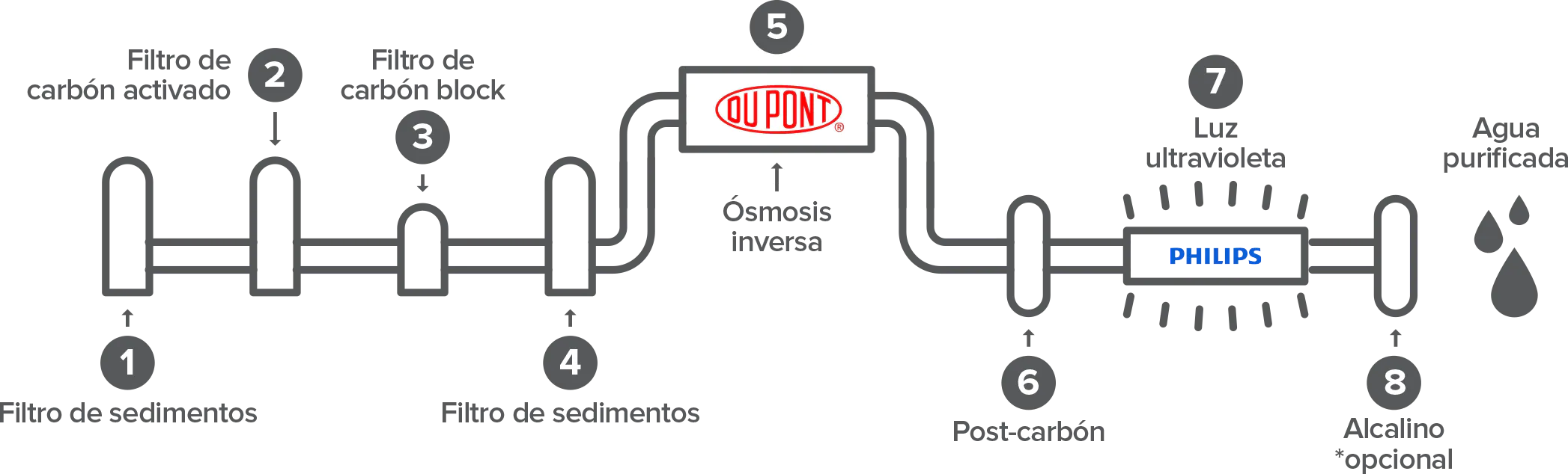 Diagrama de etapas de purificación Purifika